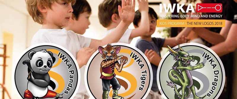 children martial arts kung fu