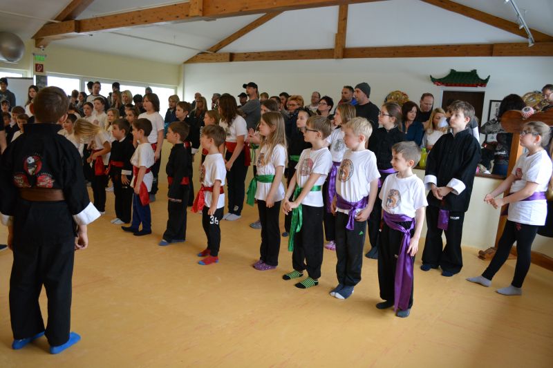 children martial arts kung fu