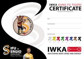 martial arts children grade certificate