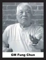 Chinese-Martial-art-Kung-Fu-Grandmaster