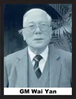 Chinese-Martial-art-Kung-Fu-Grandmaster