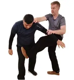 Adult Martial Arts